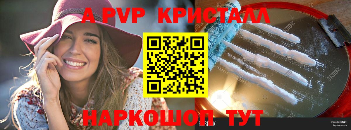 Alfa_PVP СК Новороссийск
