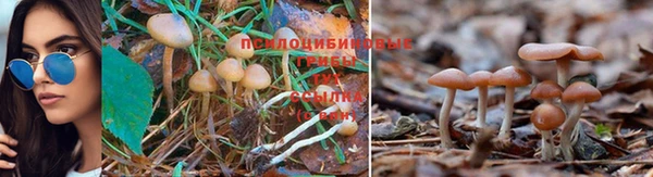 синтетический гашиш Аркадак