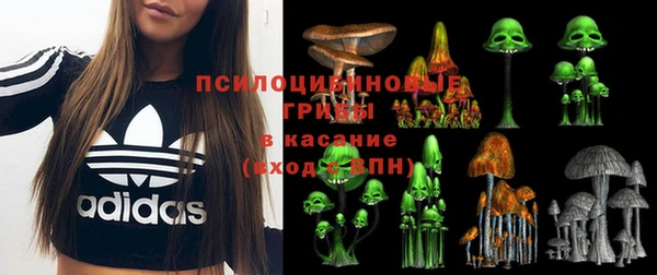 МДМА Арсеньев