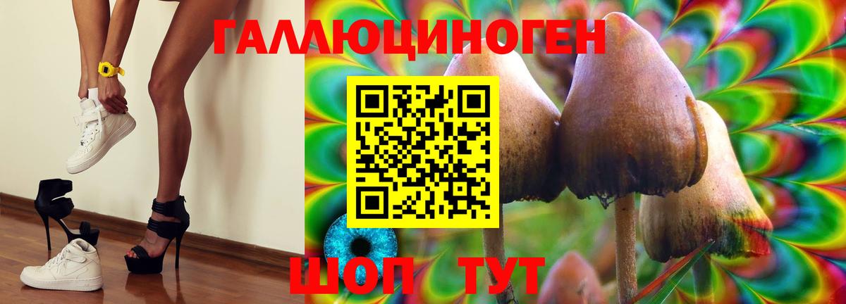 Псилоцибиновые грибы MAGIC MUSHROOMS Новороссийск