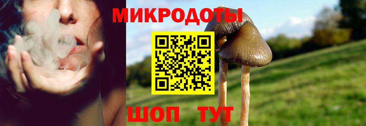 Галлюциногенные грибы GOLDEN TEACHER  купить наркоту  Галлюциногенные грибы мухоморы  Новороссийск  Вход с VPN 